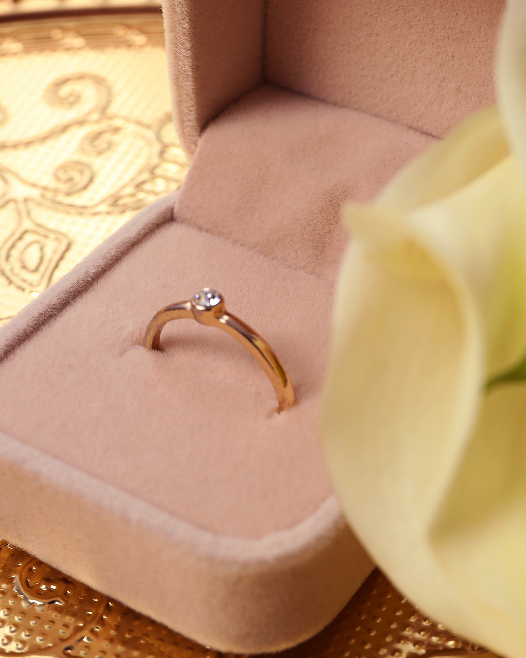 anel solitário vs aparador de aliança