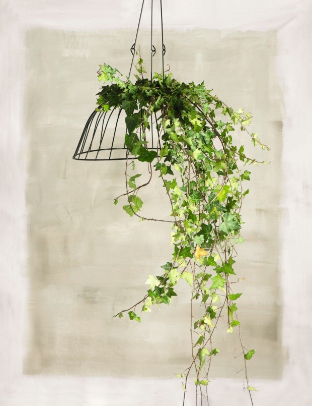 arranjos aereos circulares