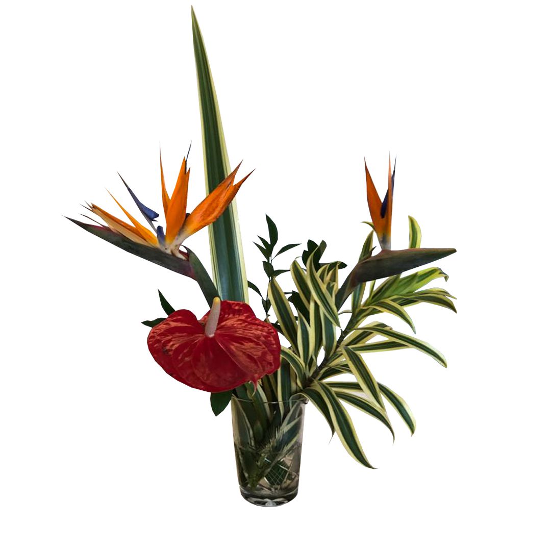 Arranjos com antúrios brancos