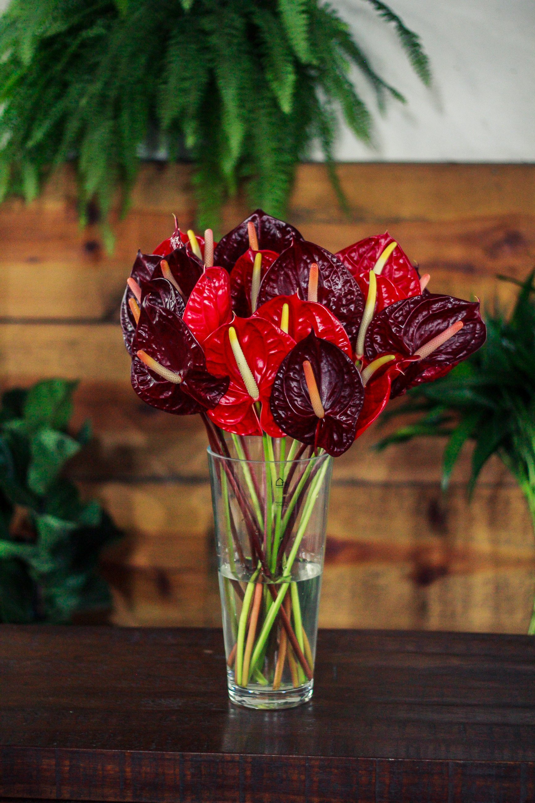 Arranjos de antúrios com bromélias