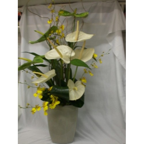 Arranjos de antúrios com lírios