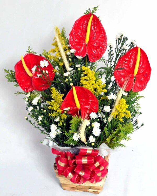 Arranjos de antúrios com ave-do-paraíso