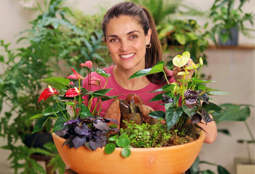 Arranjos de antúrios com costela-de-adão