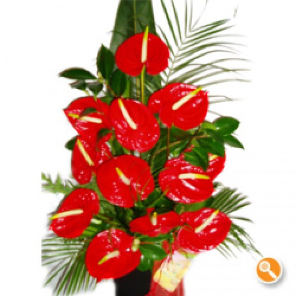 Arranjos de antúrios em vasos rústicos