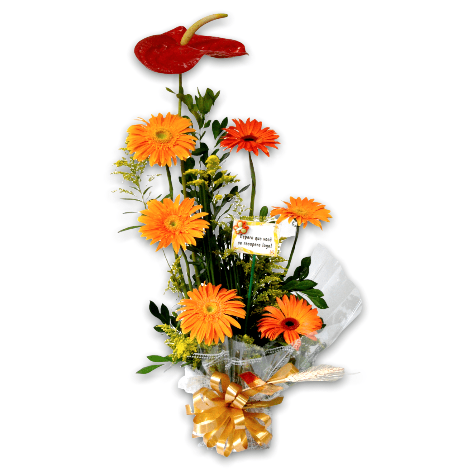 Arranjos de antúrios em vasos de cerâmica