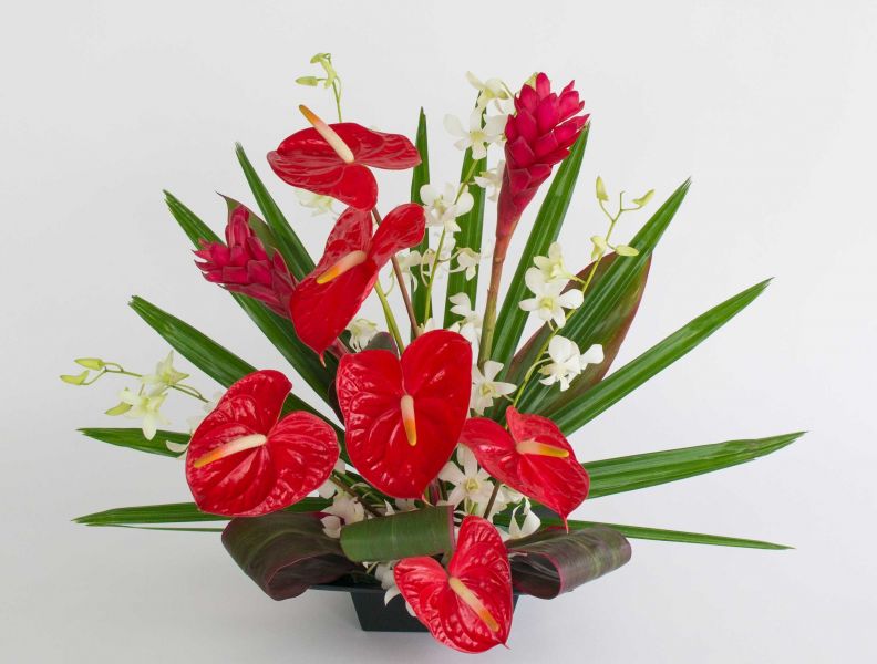 Arranjos com antúrios brancos