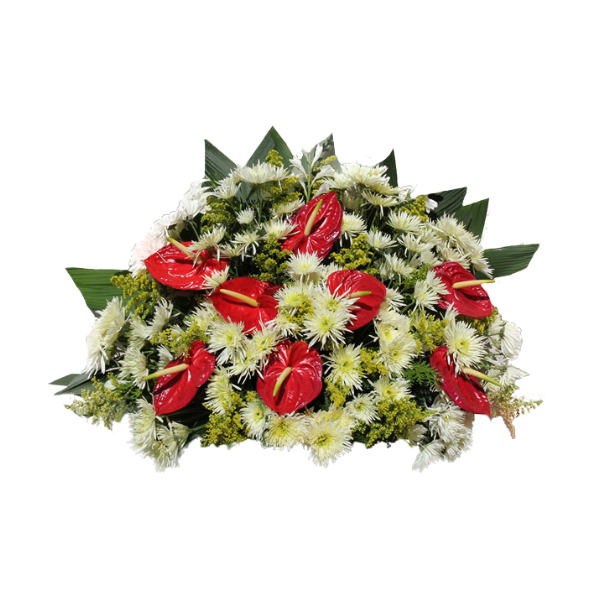 Arranjos de antúrios para decoração interna