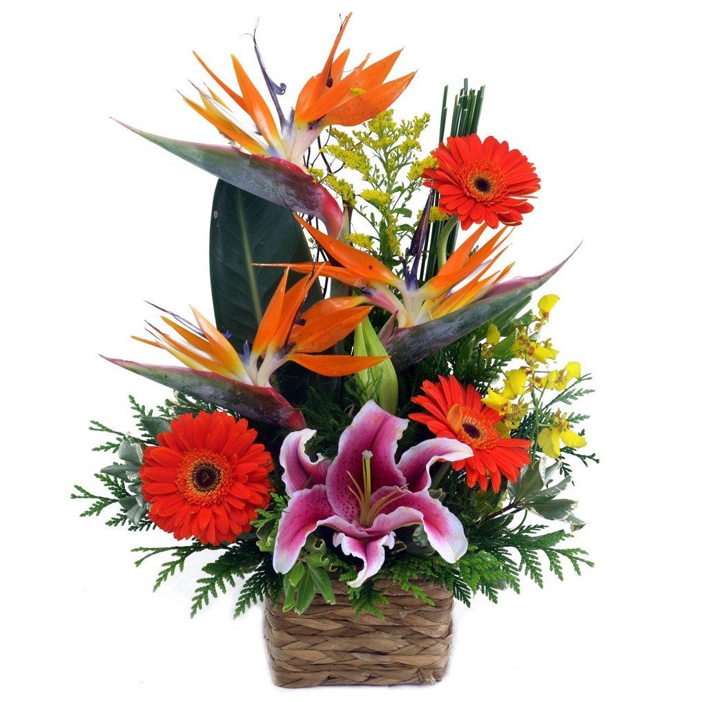 arranjos com flores nobres