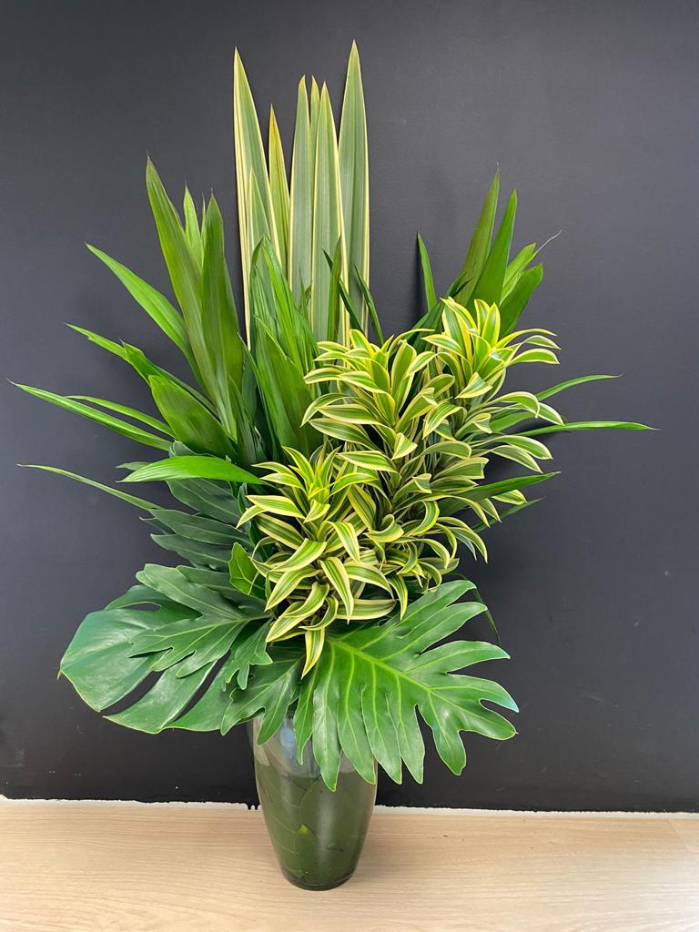 Guia completo: Como escolher folhagens para cada ambiente