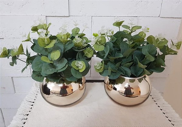 Guia completo: Como escolher folhagens para cada ambiente