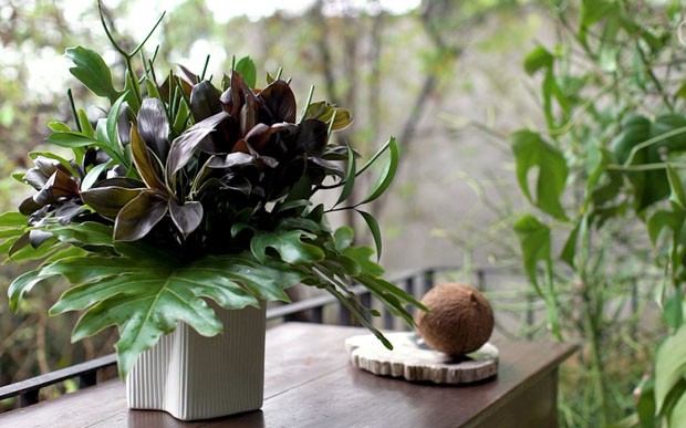 DIY: Crie arranjos de folhagens sem espuma floral