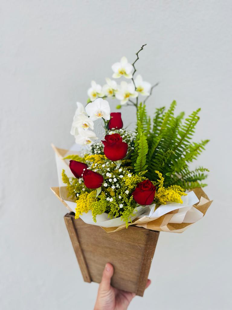 Top 5 plantas de interior que purificam o ar e são fáceis de cuidar