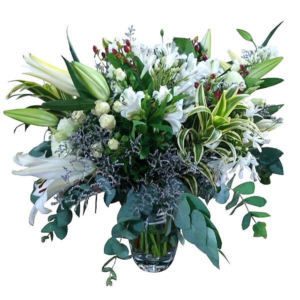 Manutenção de arranjos de folhagens: segredos para durarem meses