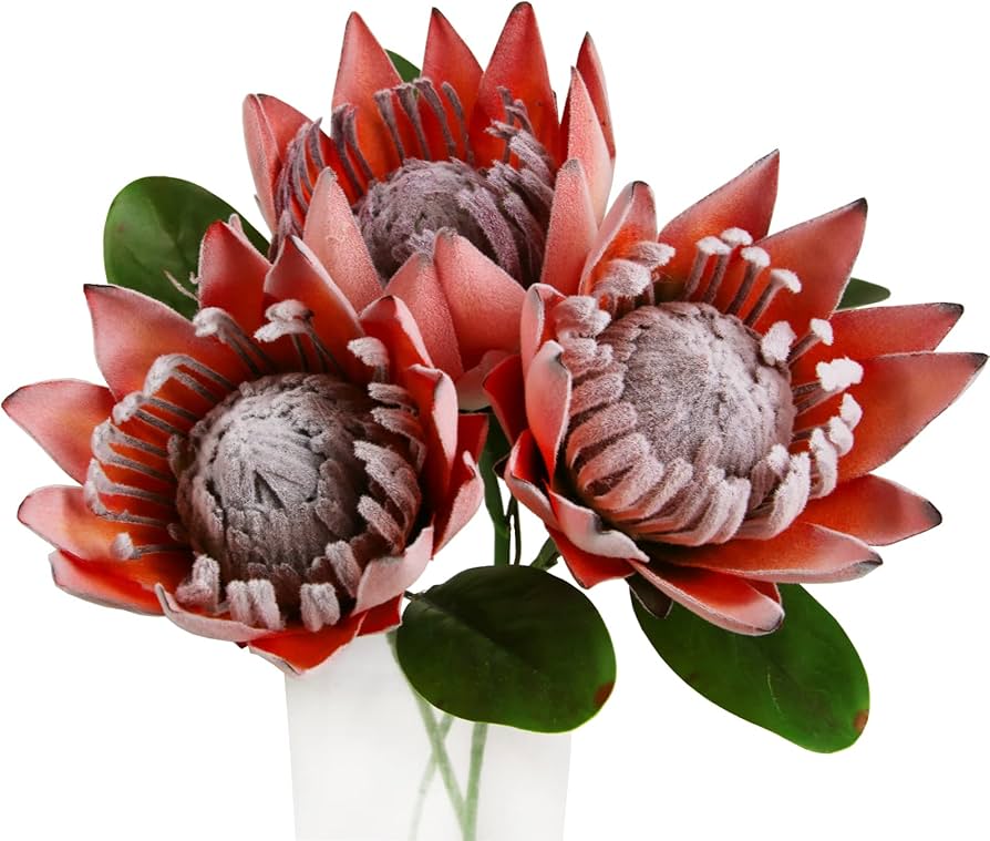 arranjos com proteas