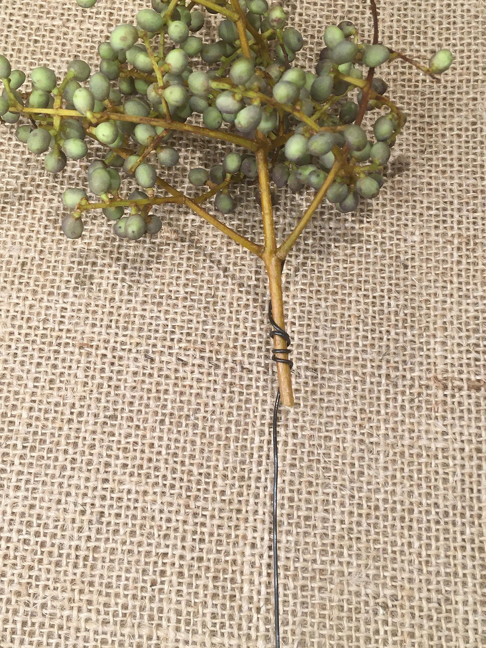 Centros de mesa com sementes e frutos