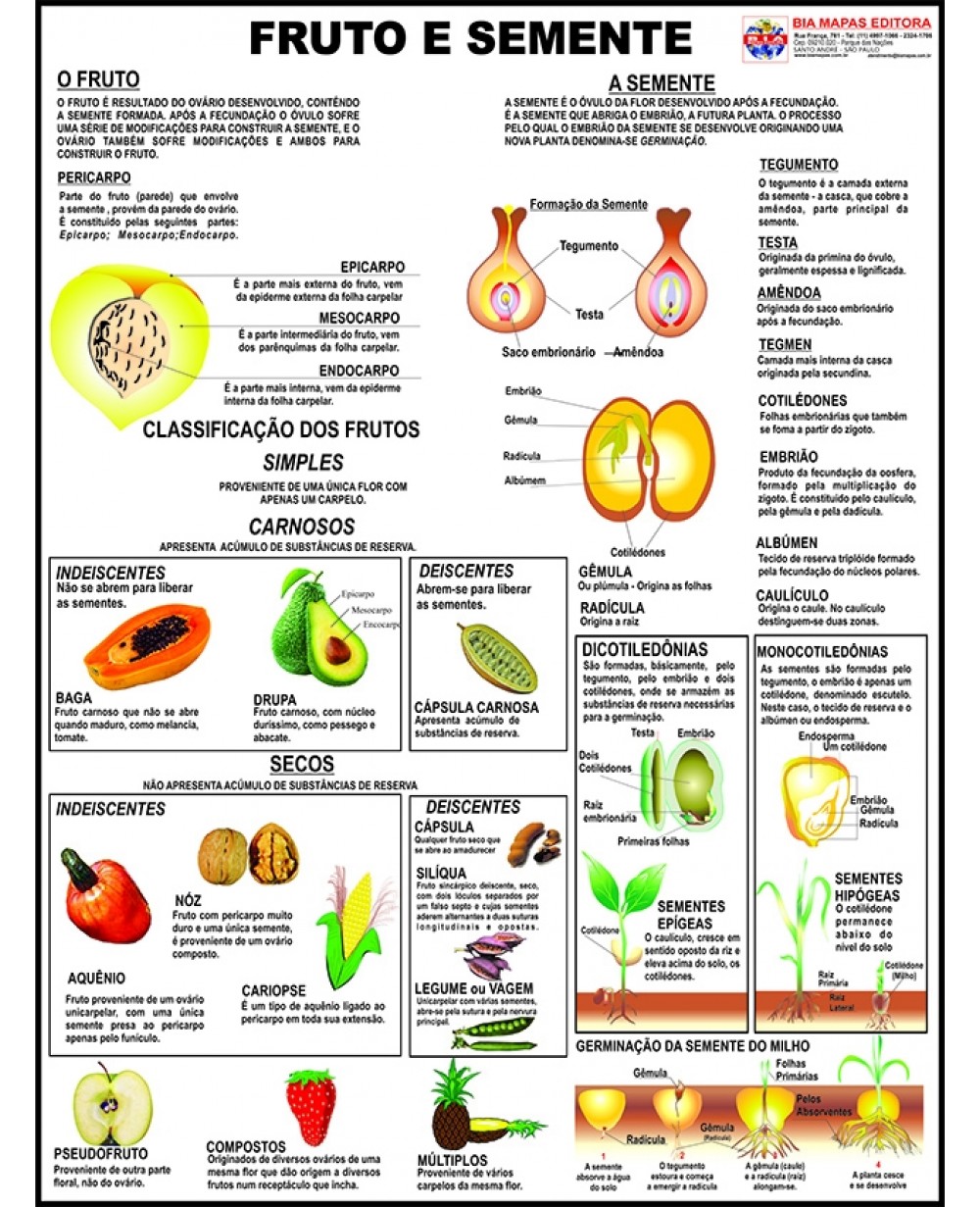 Decoração sustentável com elementos naturais