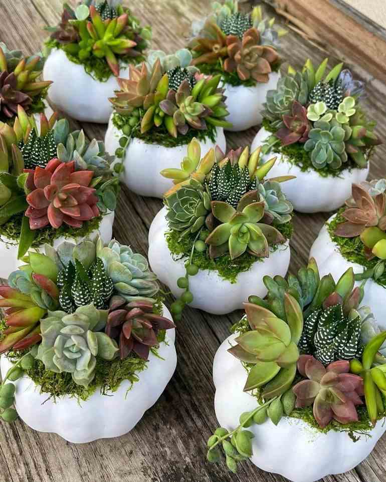 quanto custa um arranjo de flores desidratadas em vaso de cerâmica