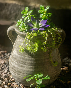 arranjos em vasos de ceramica