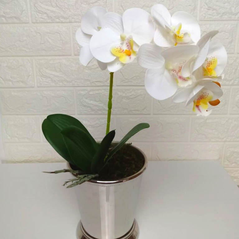 Lírios e Mais para um Toque de Luxo