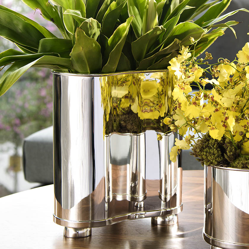 Flores para Vasos de Prata: Orquídeas