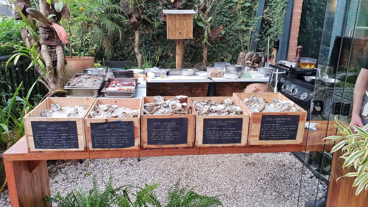 Transforme seu Casamento com um Oyster Bar de Luxo: Dicas e Tendências