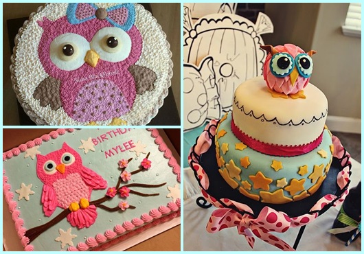 bolo coruja vs bolo unicórnio qual escolher