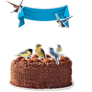 bolo decorado pássaros masculino