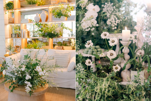 botânico quintal vs celeiro quintal