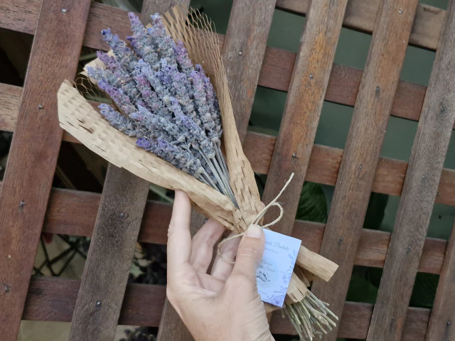 Como Cuidar e Conservar seu Buquê de Lavanda para Durar Mais Tempo