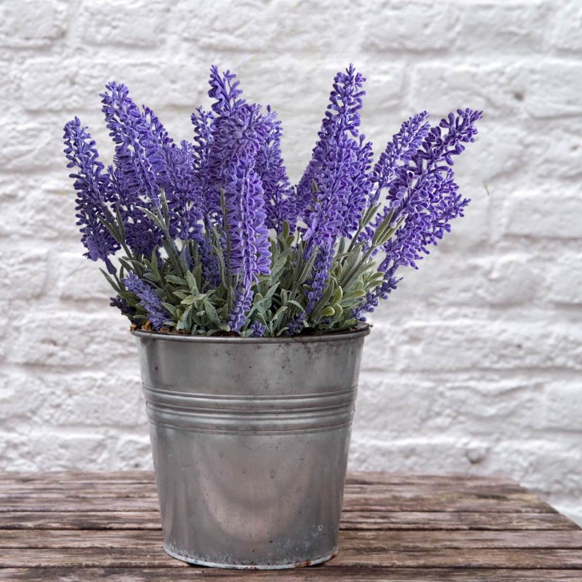 Significado da Lavanda: Desvende o Simbolismo por Trás Desta Flor Relaxante