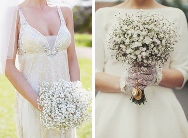 Desidratado e Artificial: Qual Escolher?