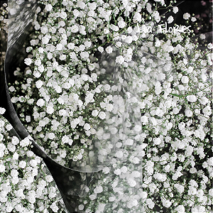 Significado da Flor Mosquitinho: Pureza e Amor Eterno em Seus Arranjos