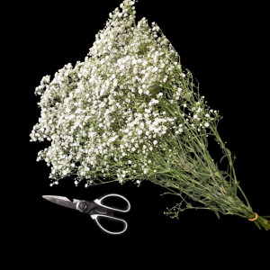 DIY: Aprenda a Montar Seu Próprio Buquê de Mosquitinho Econômico