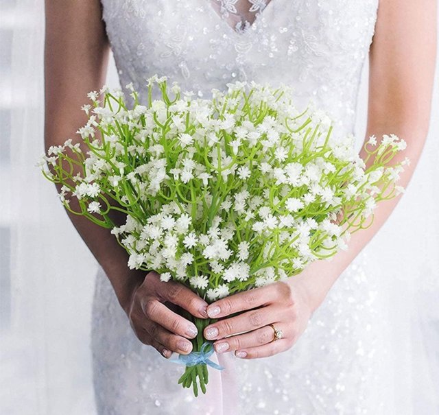 Diferenças entre Mosquitinho Natural