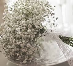 Significado da Flor Mosquitinho: Pureza e Amor Eterno em Seus Arranjos