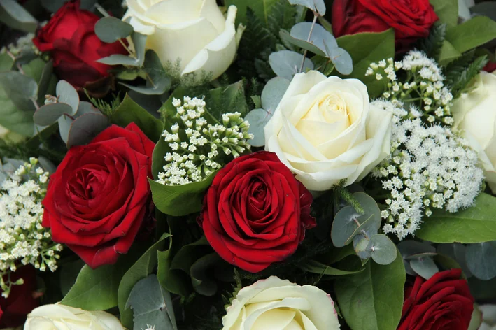 como cuidar de um buquê de rosas para que dure mais tempo
