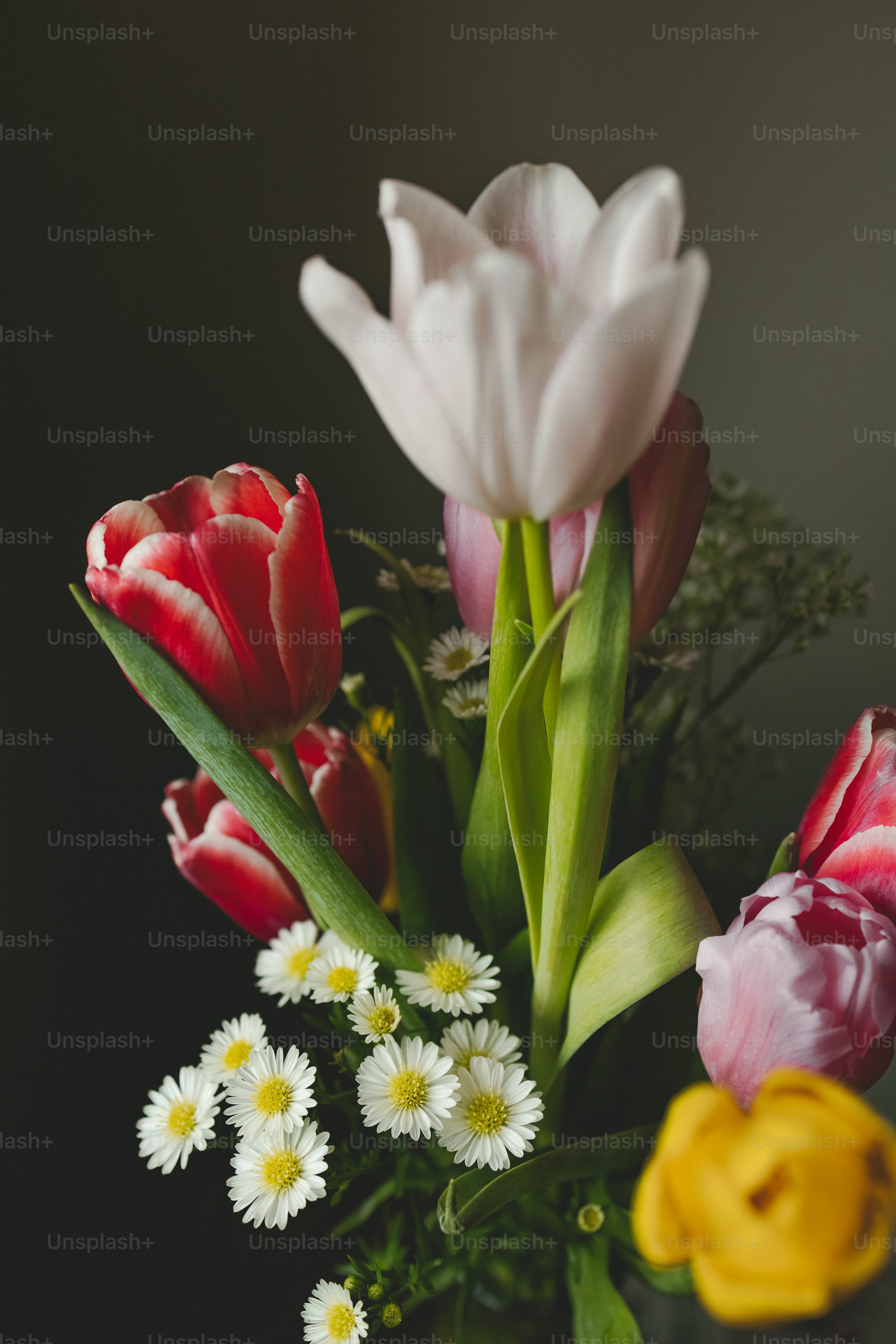 quanto custa um buquê de tulipas de luxo
