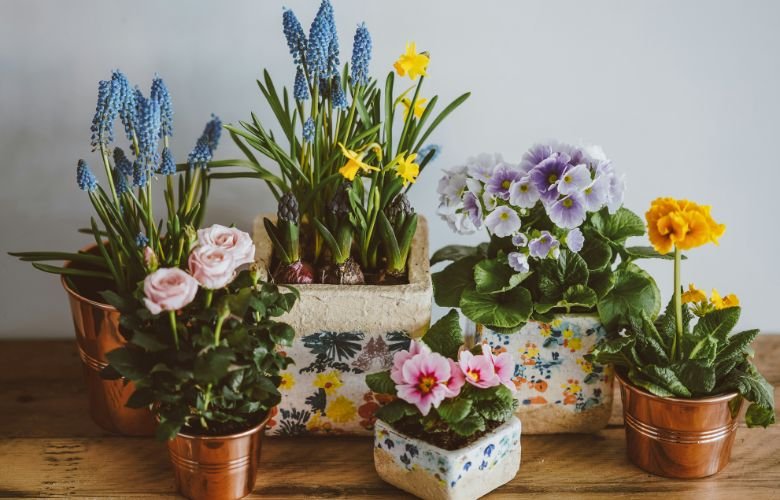 como montar um buquê de tulipas em casa