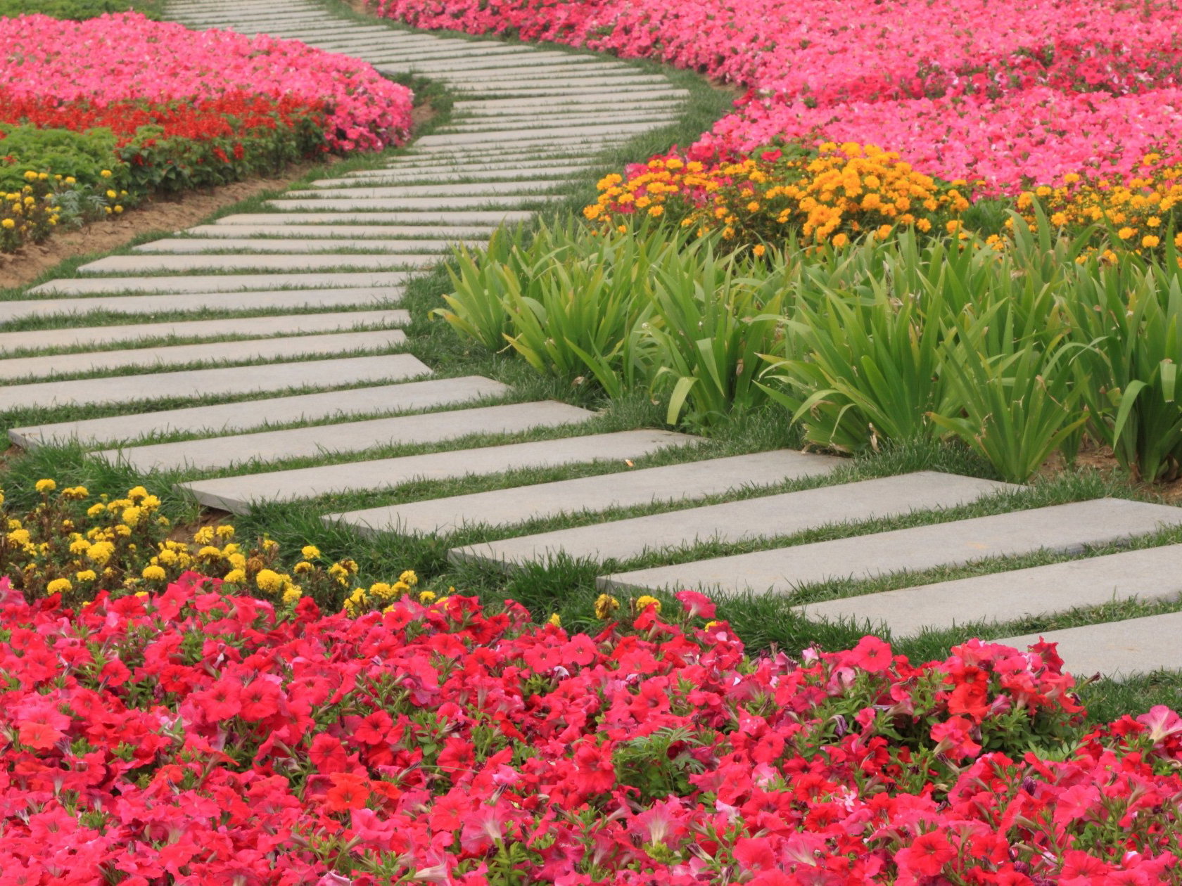 inspiração caminho de flores para casamento