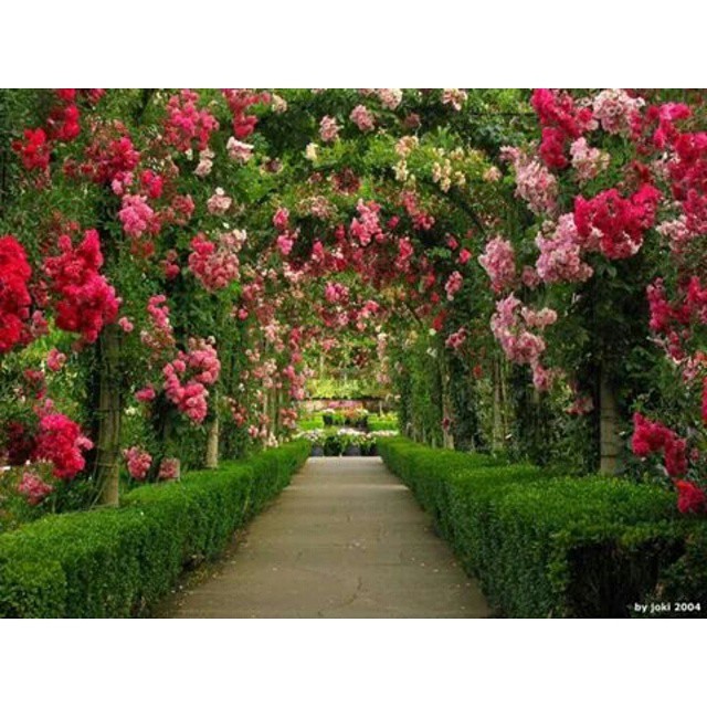 quanto custa um caminho de flores para evento