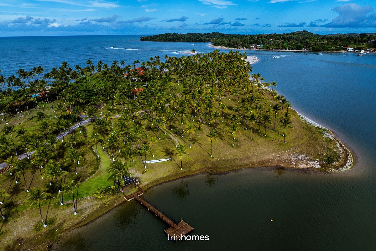 5 ideias de títulos:
1. Guia Completo: Como Organizar um Casamento Inesquecível em Boipeba
2. Os Melhores Fornecedores para o Seu Destination Wedding em Boipeba
3. Planejamento Financeiro: Quanto Custa Casar em Boipeba em 2025/2026?
4. Boipeba: O Destino Perfeito para um Casamento Íntimo e Romântico
5. Dicas Essenciais de Logística e Hospedagem para Convidados em Boipeba