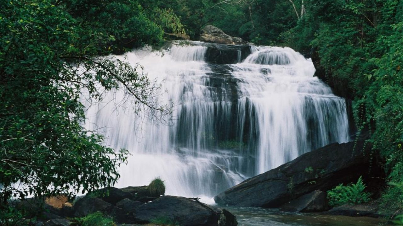 Decoração de Casamento ao Ar Livre: Inspirações da Serra