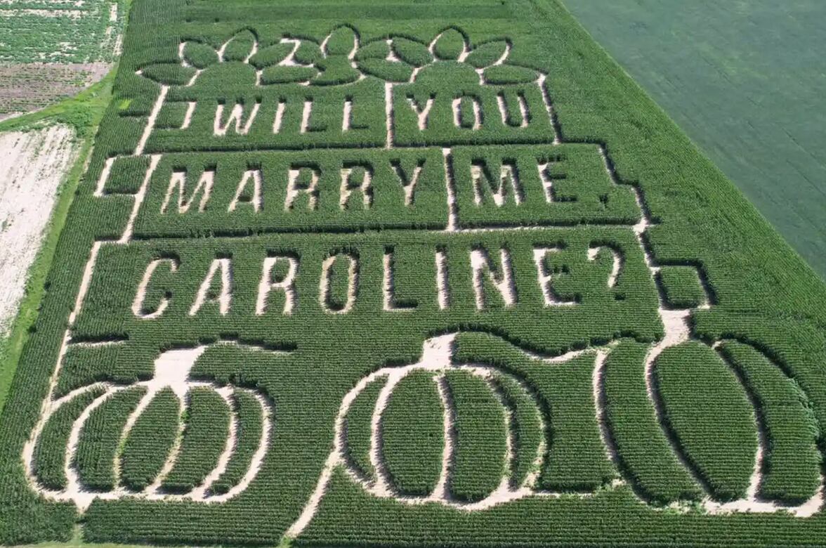 custo médio casamento milho verde