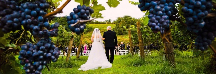 Guia Completo: Como Validar Seu Casamento no Chile no Brasil