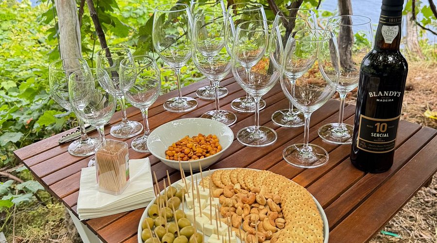 O Significado Profundo de Cada Gesto na Cerimônia do Vinho