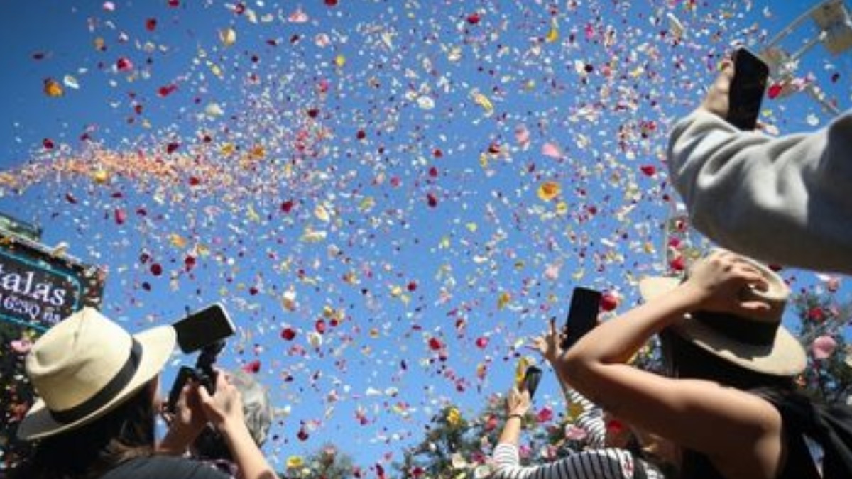 Guia Completo da Expoflora Holambra: Espetáculo da Chuva de Pétalas