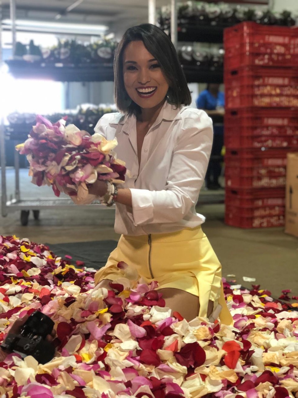 Decoração e Produtos: Como a 'Chuva de Pétalas' Inspira Cores e Fragrâncias