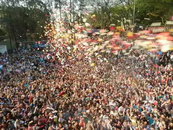 Decoração e Produtos: Como a 'Chuva de Pétalas' Inspira Cores e Fragrâncias