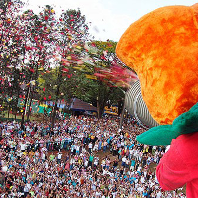 O Significado da Chuva de Pétalas na Novena de Santa Teresinha