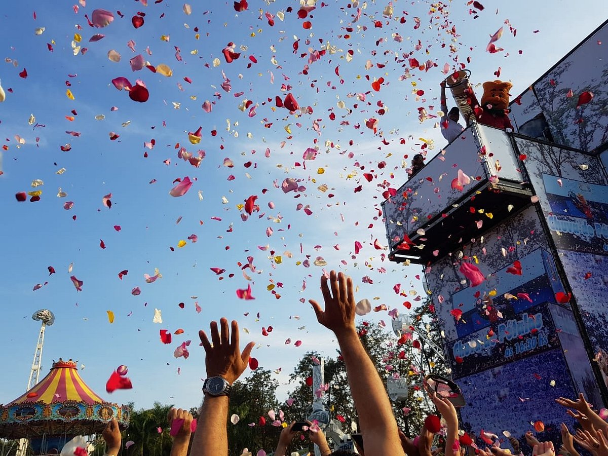 Lenda da Chuva de Pétalas da Expoflora: Pegue uma e Realize um Desejo